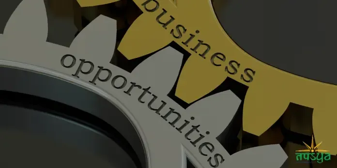Business Opportunity in Nepal