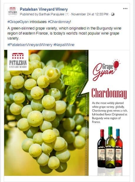 Pataleban Vineyard Winery work