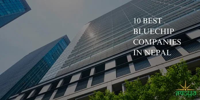 10 Best Blue Chip Companies