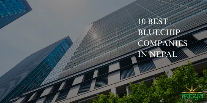 10 Best Blue Chip Companies