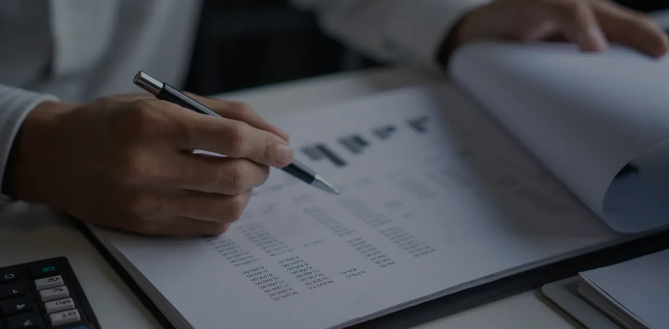 Business audit